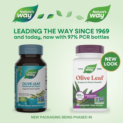 Olive Leaf Standardized