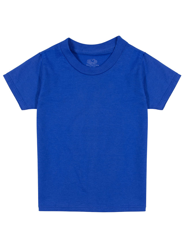 Camisetas interiores, camisetas y camisetas sin mangas de algodón Eversoft para niños Fruit of the Loom, camiseta - Niños - Paquete de 5 - Azul/Verde/Rojo, Talla XL