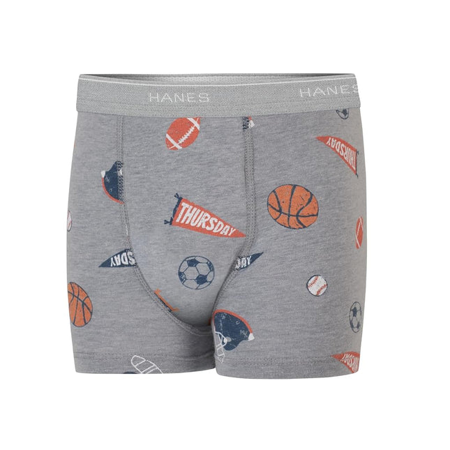 Hanes Toddler Boys' Potty Trainer Underwear, Light Leaks Boxer Briefs & Briefs Available, 6 & 7 Pack, Days of Week - 7 Pack, 2-3T