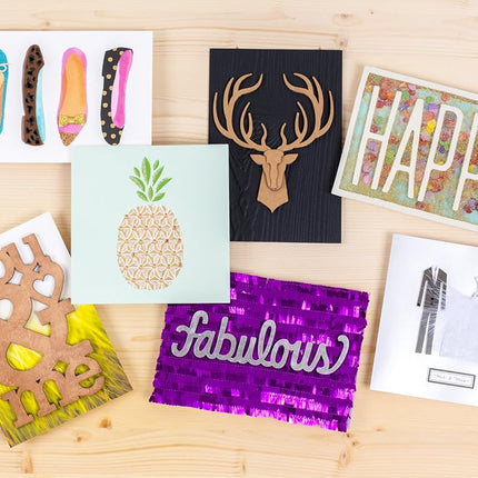 Hallmark Signature Birthday Greeting Card for Him (Deer Head)