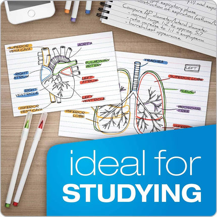 Oxford 51EE Ruled Index Cards, 5" x 8", White, 500 Cards (5 Packs of 100) (51)