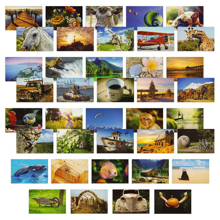Best Paper Greetings 40 Pack Bulk Animal and Trave