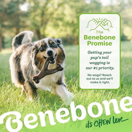 Benebone 2-Pack Wishbone/Dental Durable Dog Chew Toys, Real Bacon, Large