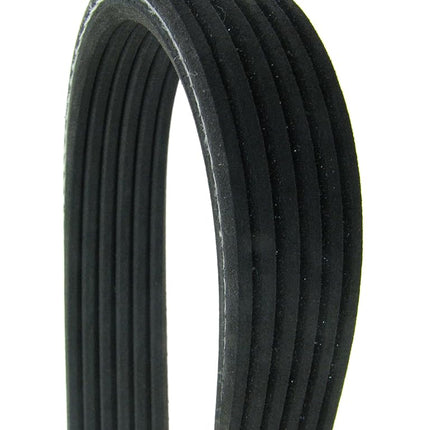 Continental D4060472 Dual-Sided Poly-V/Serpentine Belt