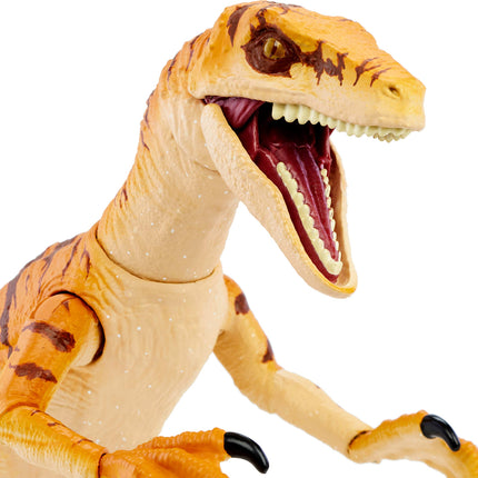 Jurassic World Amber Collection Tiger Velociraptor 6-in Dinosaur Action Figure, Movie-authentic Detail, Movable Joints & Figure Display Stand, Collectible Gift 8 Years & Up
