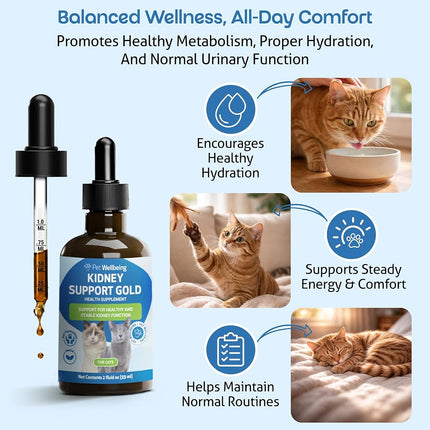 Pet Wellbeing - Kidney Support Gold for Cats - Natural Support for Feline Kidney Health - 2oz (59ml)