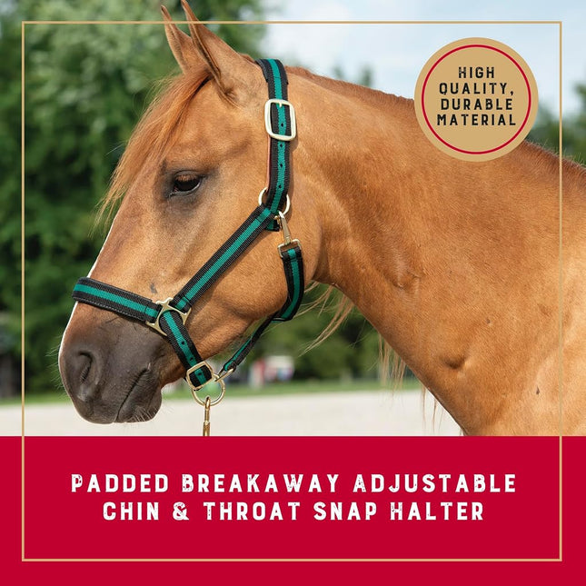 Weaver Leather 35-6065-GR Padded Breakaway Adjustable Chin & Throat Snap Halter, 1" Average Horse or Yearling Draft, Green Striped