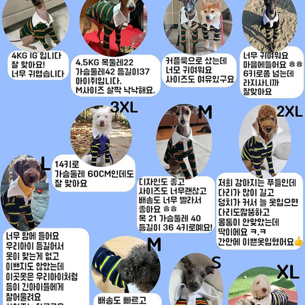 D Doggy Star Italian Greyhound Clothes Collared Stretchy T Shirts Whippet for Dogs (XL,Collared Green)