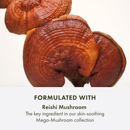 Origins Mega-Mushroom Micellar Cleanser | For Sensitive Skin | With Reishi Mushroom, 200 ml