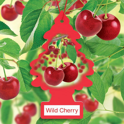 Little Trees Air Fresheners Car Air Freshener. Hanging Tree Provides Long Lasting Scent for Auto or Home. Wild Cherry, 24 Air Fresheners