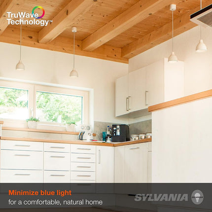 SYLVANIA General Lighting 40818, Blanco Suave Serie de luz natural LED A19 de SYLVANIA, equivalente a 75 W, eficiente 11 W, regulable, acabado esmerilado, temperatura de color de 2700 K, paquete de 6 unidades
