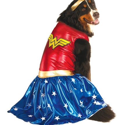 Rubies unisex adult 580286 Official s DC Comic Won