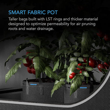 AC Infinity Heavy Duty Fabric Pots, 3 Gallon Aeration Grow Bags 5-Pack