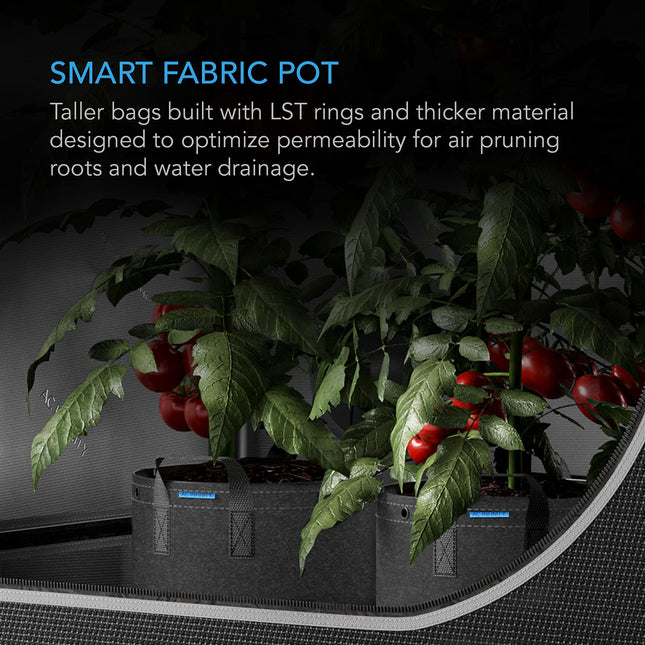 Maceteros de tela de alta resistencia AC Infinity, paquetes de 5 bolsas de cultivo de aireación de 25 galones con tela no tejida gruesa de 500 G y anillos multiusos, para el entrenamiento de plantas con bajo estrés de frutas, verduras y flores