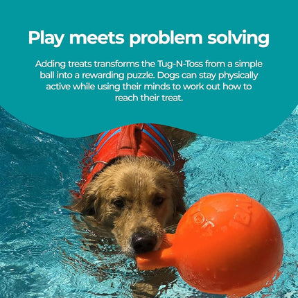 Jolly Pets Tug-n-Toss Dog Toy, 20 cm, Orange,Red