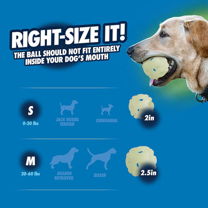 Chuckit! Air Glow Fetch Ball Dog Toy, Medium (2.5 Inch) Pack of 2, for Breeds 20-60 lbs