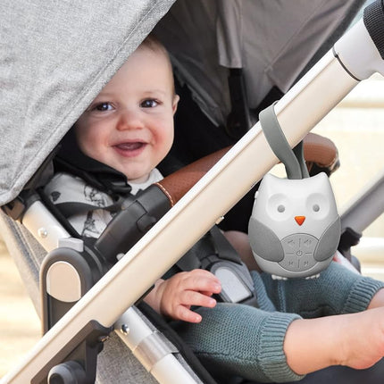 Skip Hop Stroll and Go Portable Baby Soother, Owl 1 Count (Pack of 1),Multicolour,186025