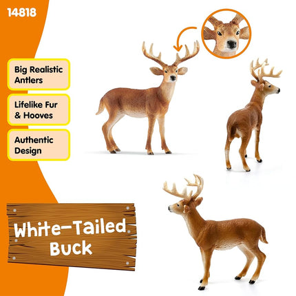 Schleich Wild Life - White-Tailed Buck Toy Figurine - Kids Ages 3+ | 14818