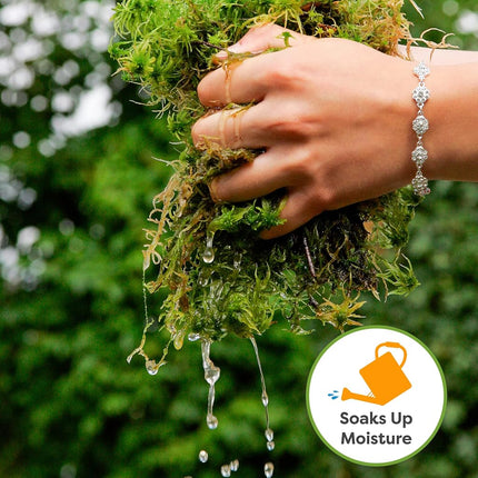 Perfect Plants Premium sphagnum moss in 2qt. resealable bag, long-fibre, sustainably harvested moss, for all orchid varieties