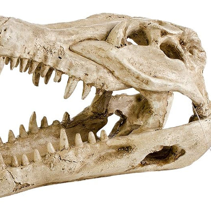 Penn-Plax RR1065 Crocodile Skull Animal Resin Orna