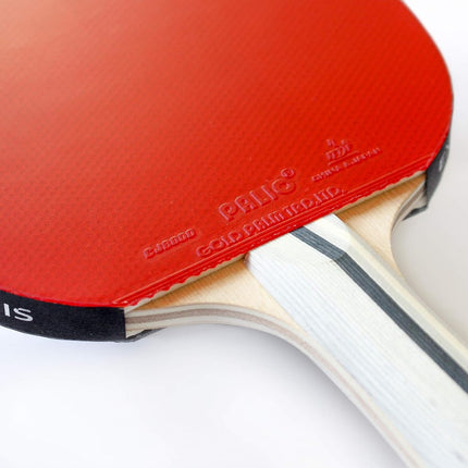 Palio Expert 3.0 Table Tennis Bat & Case | ITTF Approved High-Performance Ping Pong Racket for Beginners | Maximum Spin & Control