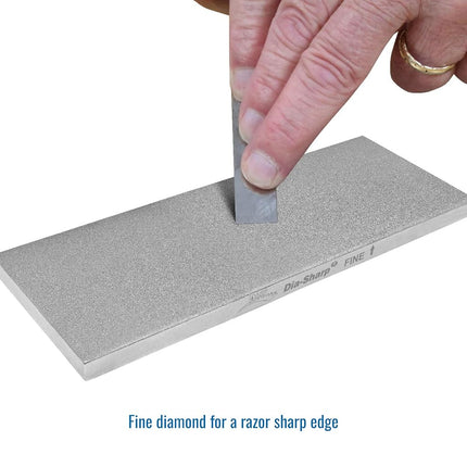DMT D11F 8” x 3” -Inch Dia-Sharp Continuous Diamond Fine