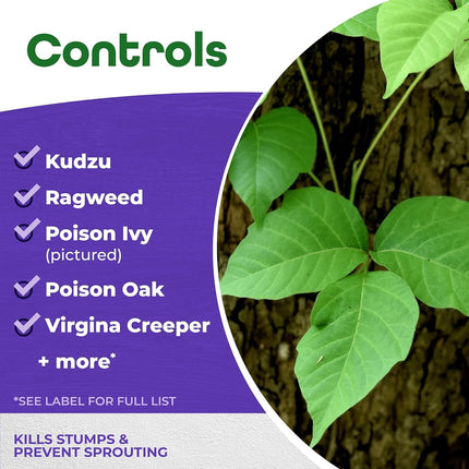 Bonide Vine & Stump Killer With Applicator Concentrate 8 Oz