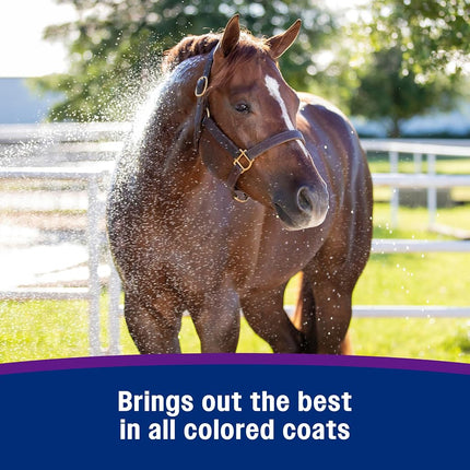 Farnam White 'N Brite Shampoo, 946ml