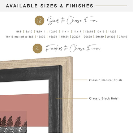 MCS STUDIO GALLERY 2 FRAME 11X14 BLACK WOODGRAIN