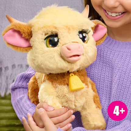 Just Play furReal Maggie the Feed & Follow Cow, 28 cm Interactive Highland Mini Cow, for Boys and Girls, Ages 4 and Up