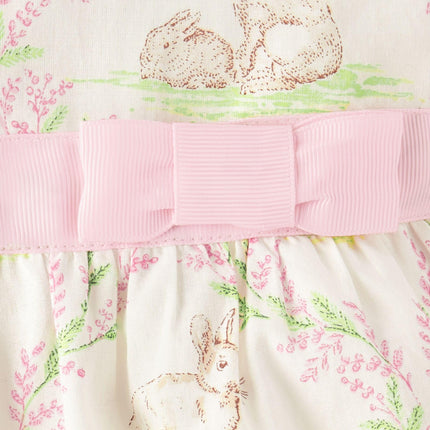 The Children's Place Baby Girls' and Toddler Short Sleeve Dressy Dresses, Bunnys Tail, 4T
