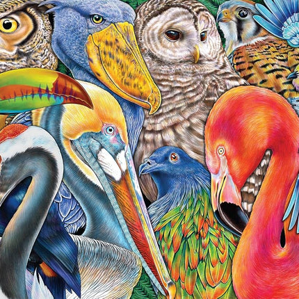 Buffalo Games - Bird Bonanza - 1000 Piece Jigsaw Puzzle