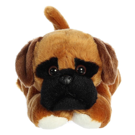 Aurora 12" Chad Boxer