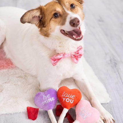 Pearhead Valentine’s Day Plush Squeaky Dog Toys – Candy Popsicle Dog Toy Set, Soft Chew Interactive Toys for Dogs, Set of 3