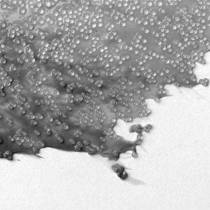 Liquitex Glass Beads Effects Medium, 237ml Jar