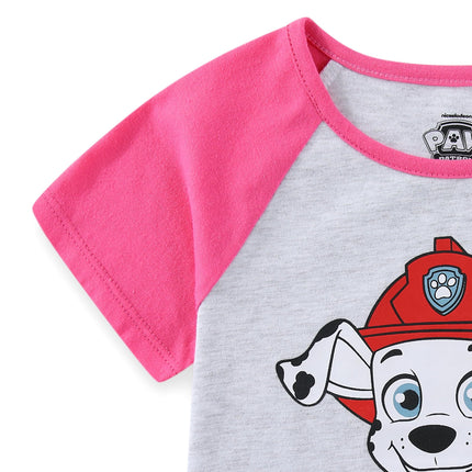 Nickelodeon Paw Patrol 2 Pack Short Sleeves Tee and Shorts Set for Girls, Kid’s Outfit Bundle, Size 3T Light Gray