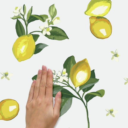 RoomMates RMK4712GM Lemon Peel and Stick Wall Decals, Yellow, Green