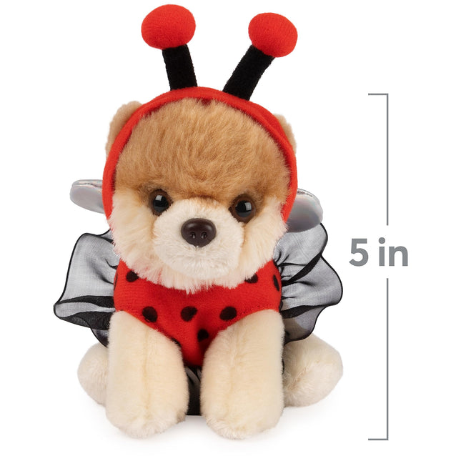 GUND Boo, The World's Cutest Dog Ladybird Plush Pomeranian Stuffed Toy for Ages 1+ 5"
