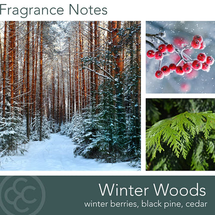 Vela aromática Colonial Candle de 2 mechas en vaso con tapa - Winter Woods (538g) - Fragancia especiada de invierno para tu hogar - Vela aromática grande con hasta 60 horas de duración - Mezcla de cera de soja