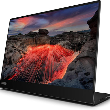ThinkVision M14t Gen2 14-inch Monitor