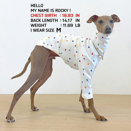 D Doggy Star Italian Greyhound Clothes Flexible T Shirts Whippet for Dogs (2XL,Alphabet Ivory)