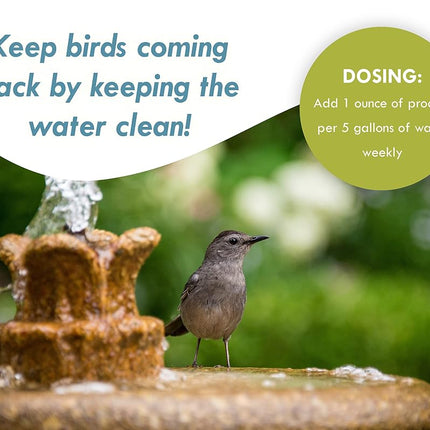 Sanco Industries Bird Bath & Fountain Maintenance - (8 Ounces) - Fast-Acting Enzyme-Based Formula Will Extend The Life of Your Water Feature, Aid in Maintaining a Balanced Ecosystem - Safe for All