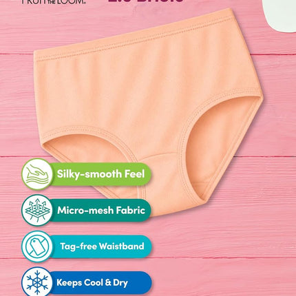 Fruit of the Loom girls12GBRTBToddler Girls' Brief (Pack of 12) Panties - multi - 4-5 Years