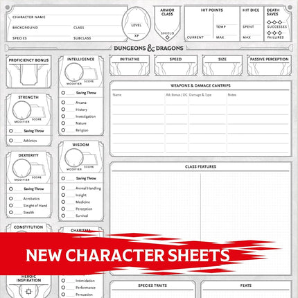 Dungeons & Dragons 2024 Character Sheets (Player Accessories)