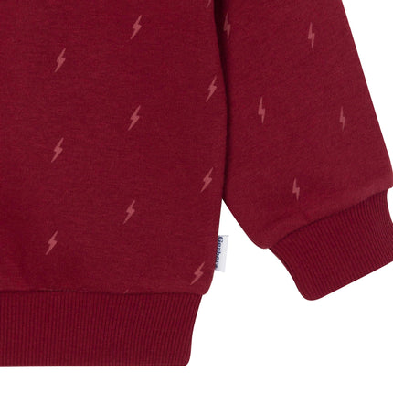 Gerber Baby Boys Toddler 2-Piece Fleece Sweatshirt and Jogger Set, Burg Lighting, 4T, Burg Lighting, 4T