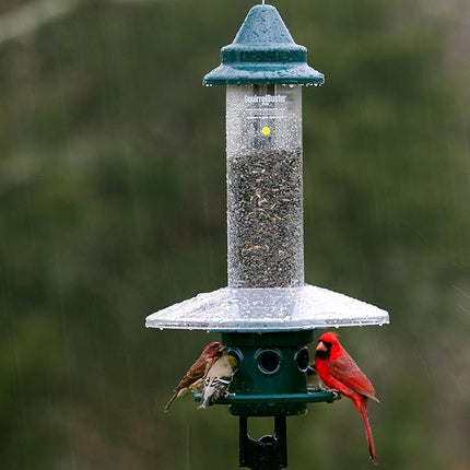 Jacobi Jayne 1024-V01 Feeder Buster Plus-Marauders Off Guaranteed Squirrel and Large Bird Proof/Metal, Green