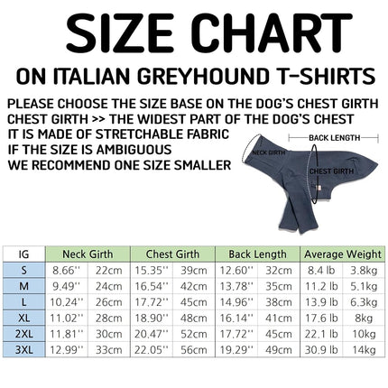 D Doggy Star Italian Greyhound Clothes Flexible T Shirts Whippet for Dogs (M,Cobalt Stripe)