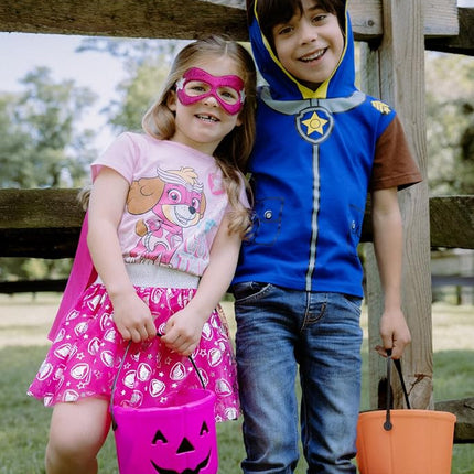 Paw Patrol Skye Toddler Girls 4 Piece Costume Set: T-Shirt Skirt Mask Cape Tulle Tutu Pink 4T