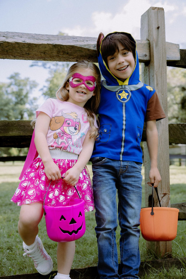 Paw Patrol Skye Toddler Girls 4 Piece Costume Set: T-Shirt Skirt Mask Cape Tulle Tutu Pink 4T