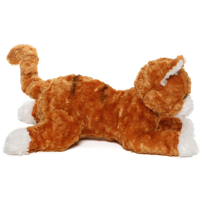 Cat Sienna Tabby